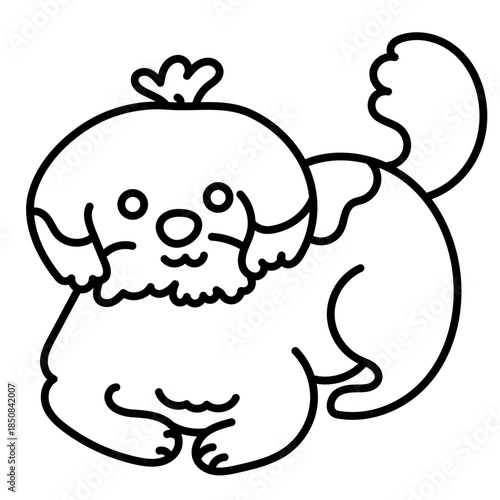 cute chizu dog sit on floor