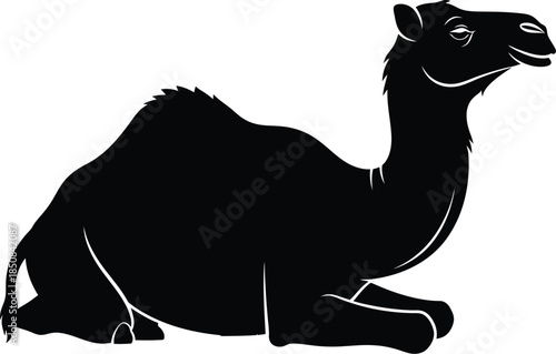 Silhouette of a camel resting on the ground