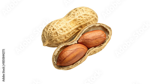 Whole Raw Peanut Shell and Cracked Open Pod with Two Nuts