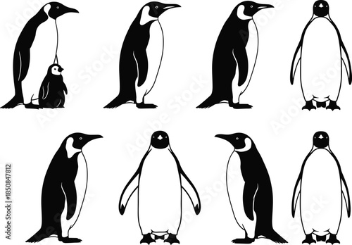 Set of 8 penguin silhouettes featuring various standing poses and profiles including adult penguin with chick for arctic wildlife education and nature conservation branding