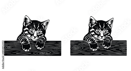 Two adorable kittens peering over wooden planks in a black and white sketch