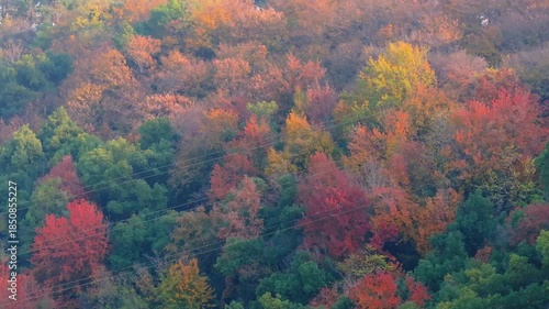 Autumn skyline views of Wuhan, Hubei, China