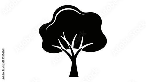 Black Silhouette of a Tree.