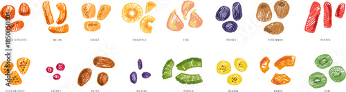 Set of vector hand drawn dried fruit. Apricot, melon, ginger, pineapple, figs, prunes, persimmon, mango, banana, pomelo, raisins, dates, cherry, passion, kiwi, papaya. Cartoon vibrant food elements.