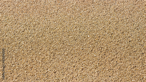 A close-up, high-angle view of a textured, granular surface, likely sand or fine gravel, with a uniform light brown color.