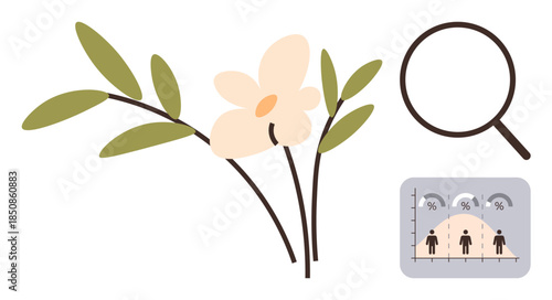 Beige flower on green leafy branch, magnifying glass, and demographic analysis graph. Ideal for ecology, research, data analysis, environment, growth population study education. Simple flat