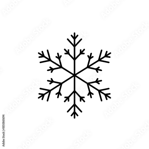 Intricate snowflake design
