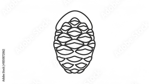 Black line art illustration of a detailed pine cone on a white background, simple elegant design element, botanical style, natural icon