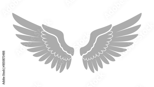 Symbolic pair of spread gray wings representing freedom, aspiration, and angelic or mythical presence