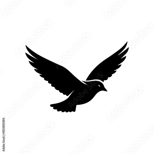 Bird in flight silhouette