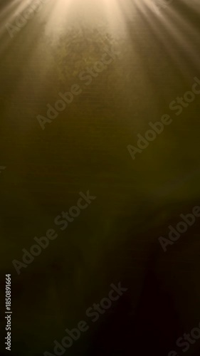 Wallpaper Mural Soft Glow Piercing Through Mist And Theatrical Ambiance, Golden Rays Cutting Through Fog Creating Moody Dramatic Scene With Contrast Torontodigital.ca