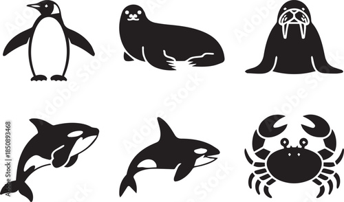 Set of sea animal silhouettes, black and white vector illustration of marine life, isolated ocean creatures for underwater, wildlife, and aquatic nature concepts