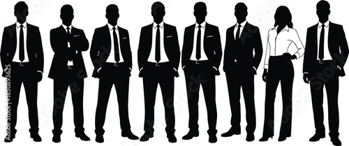 Business team silhouettes standing together, professional corporate men and woman leadership concept isolated on white background studio illustration