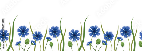 Blue cornflower floral border with wild meadow flowers and grass, vector illustration