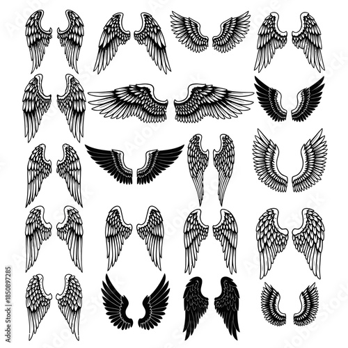 Collection of Various Angel Wings Designs in Black and White.