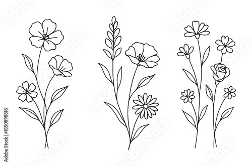 Minimal black line art botanical flowers set with stems and leaves, simple floral doodle outlines for coloring, tattoo, and elegant design