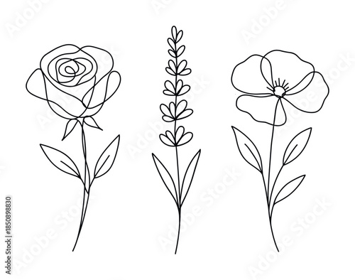 Minimalist continuous line drawing of three flowers with stems and leaves, including a rose, a vertical sprig, and a simple blossom outline