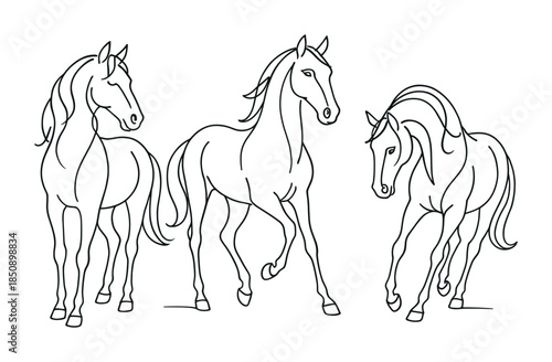 Minimal black and white line art illustration of three horses standing and walking, elegant equine outlines with flowing manes and tails