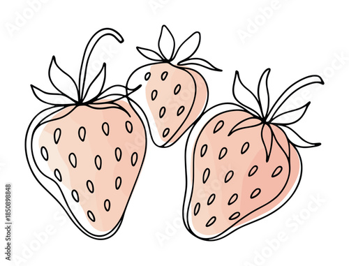 Minimal line art illustration of three strawberries with seeds and leafy tops, soft pink shading, hand-drawn fruit sketch on white background