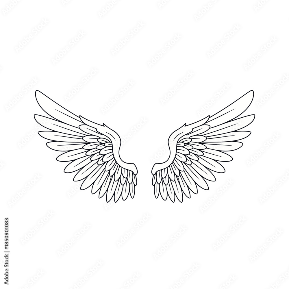 Obraz premium Detailed Line Art of Angel Wings on White Background.