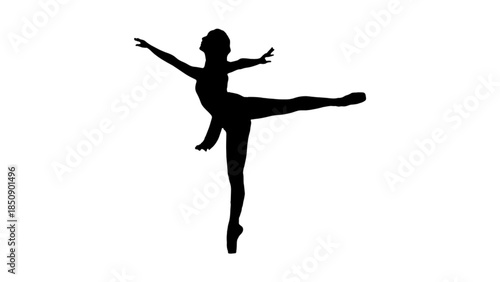 silhouette of a ballerina