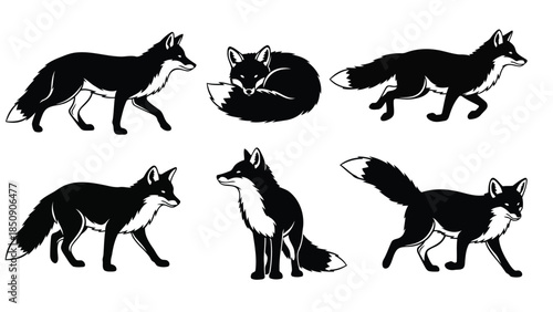 Six black and white fox illustrations on white background vector