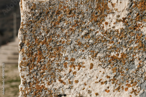 Ancient building stone with lichens growing on it