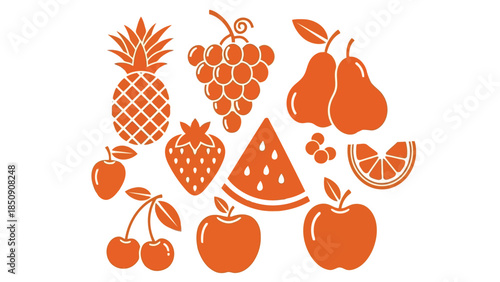 Collection of various orange fruits on white background vector