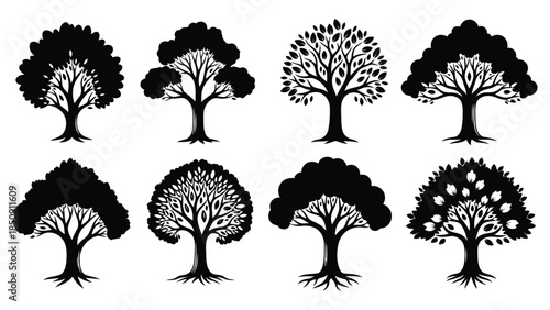 Eight black tree silhouettes on white background vector