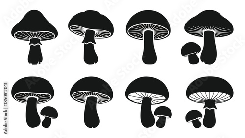 Black mushroom silhouettes on white background vector