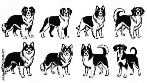 Eight black and white dog illustrations isolated on white background vector