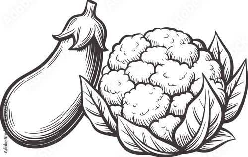 Hand drawn black and white line of eggplant and cauliflower with leaves