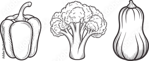 Hand drawn black and white line of bell pepper broccoli and butternut squash