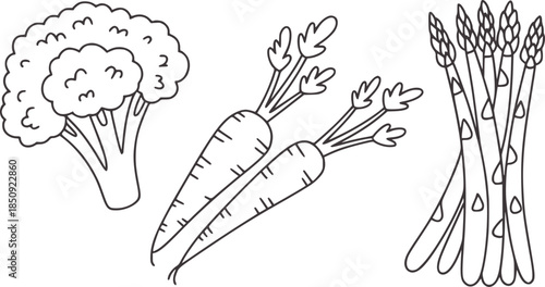 Hand drawn black and white line vegetables broccoli carrots asparagus