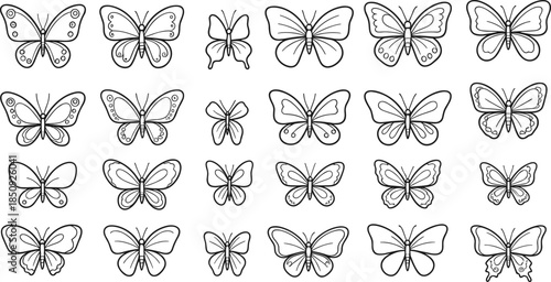 Black and white butterfly illustration grid with unique wing shapes and patterns for design, education, and artistic reference use.