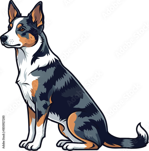 Koolie dog sitting side profile looking away cute pose