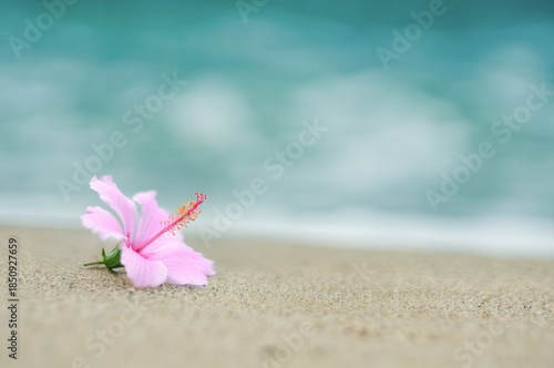 波打ち際とハイビスカス