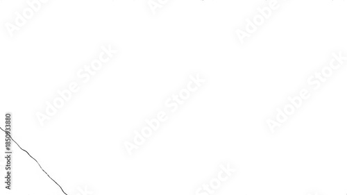 Paint Brush Scribble animation. Abstract Stroke Background, diagonal, spiral, multidirectional chaotic lines direction. Brush stroke black and white noise animation background. Crazy Hatching