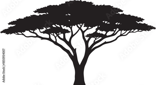 black silhouette of safari tree on white background, vector.