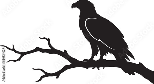 black silhouette of perched eagle on white background, vector