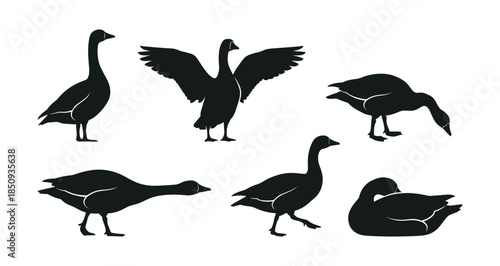 Geese silhouettes set in various poses