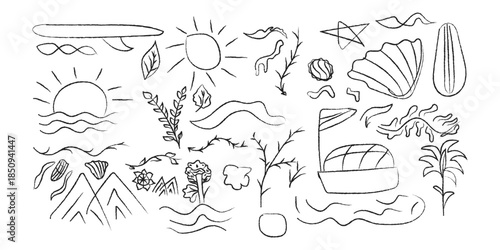 A collection of hand drawn desert landscape and seashell illustrations	