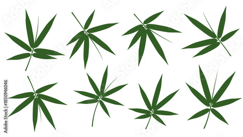 Elegant illustration of bamboo leaves in various orientations set against a clean background