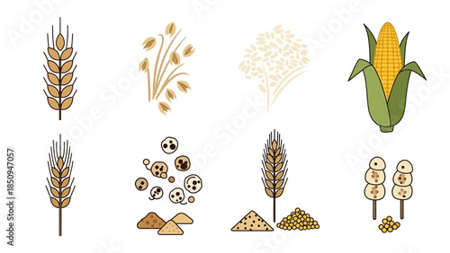 A graphic representation of various cereals and grains, showcasing different types and forms like