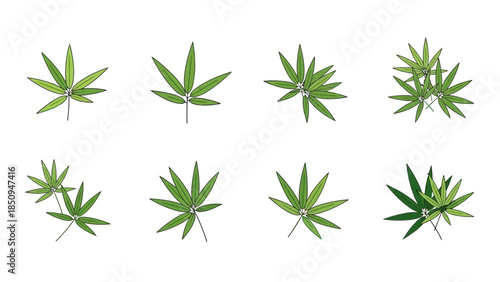 Botanical illustration featuring various groupings of vibrant green leaves on white background