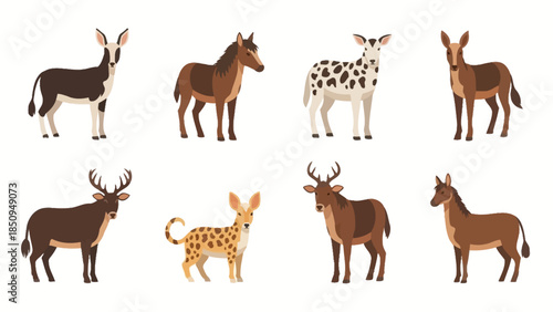 Diverse collection of illustrated wildlife featuring horses deers and spotted animals