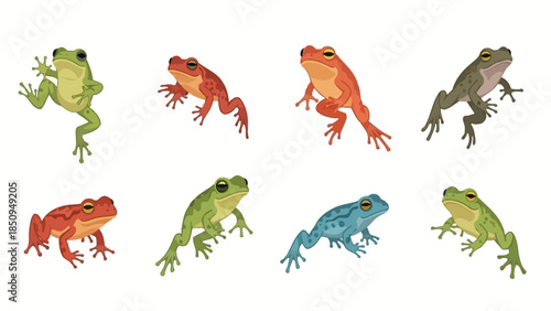 Collection of Colorful Frog Illustrations isolated on white background providing various poses and