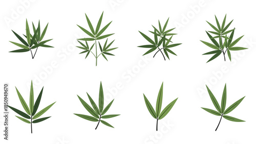 Illustration of Various Bamboo Leaves in Different Arrangements for Creative Projects