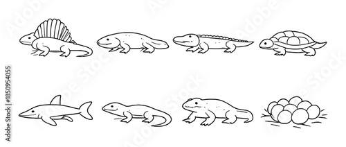 Outline drawings of prehistoric and modern aquatic animals