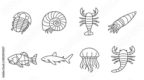 Black and white illustrations of prehistoric marine creatures on gray background